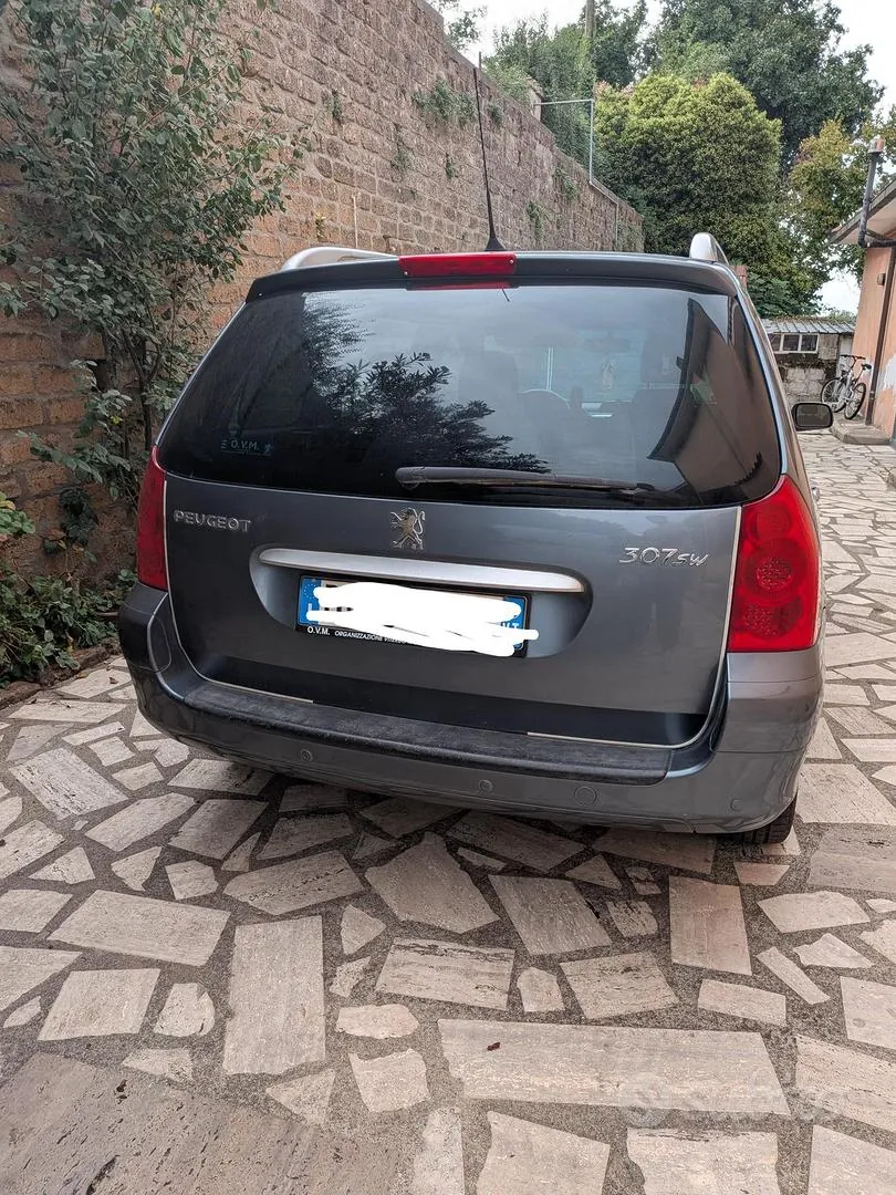 Peugeot 307 2007 photo 2