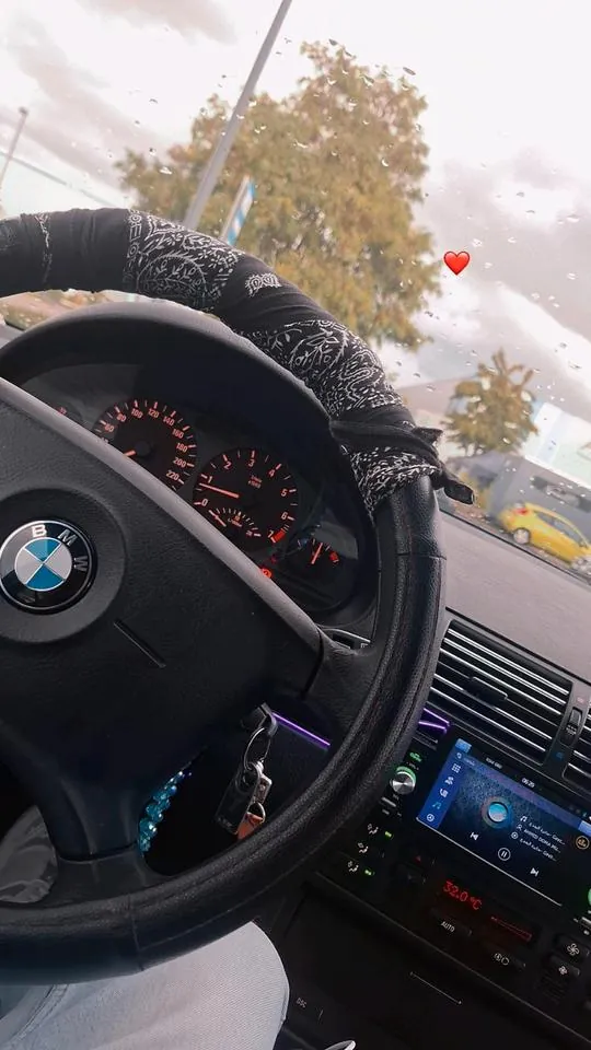 BMW E46 316I