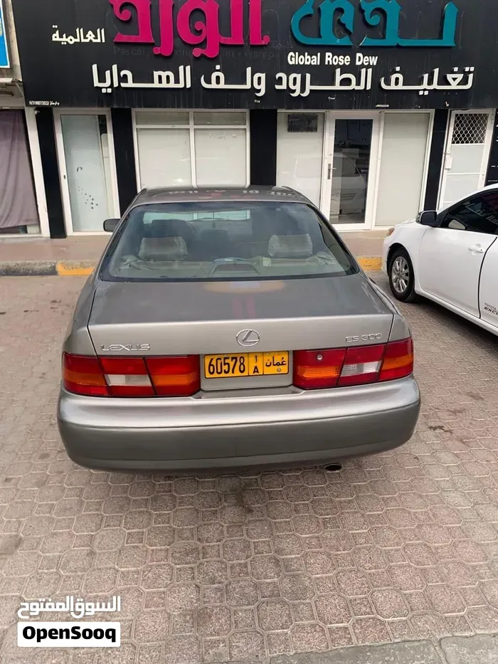 Lexus Es 300 1997 photo 4