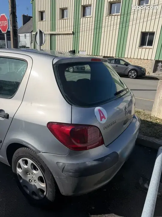 Peugeot 307 2004 photo 2