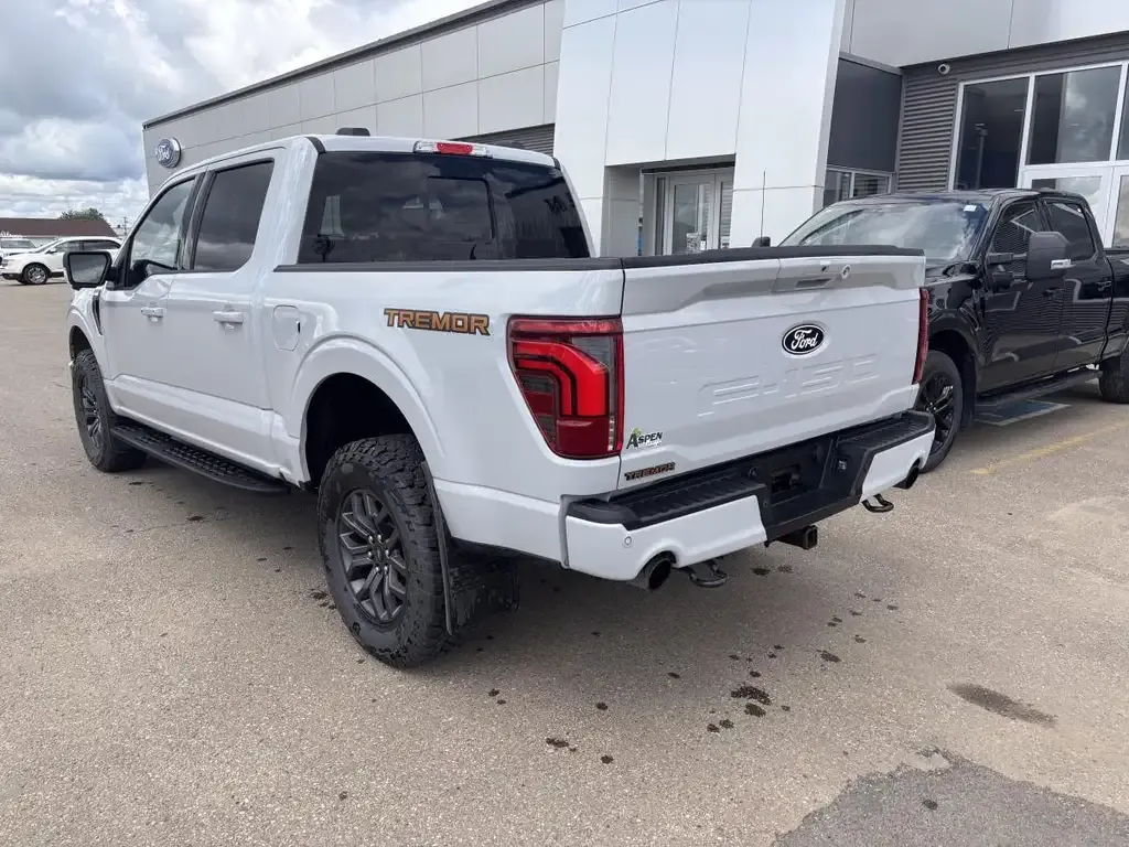 Ford F-150 2024 photo 3