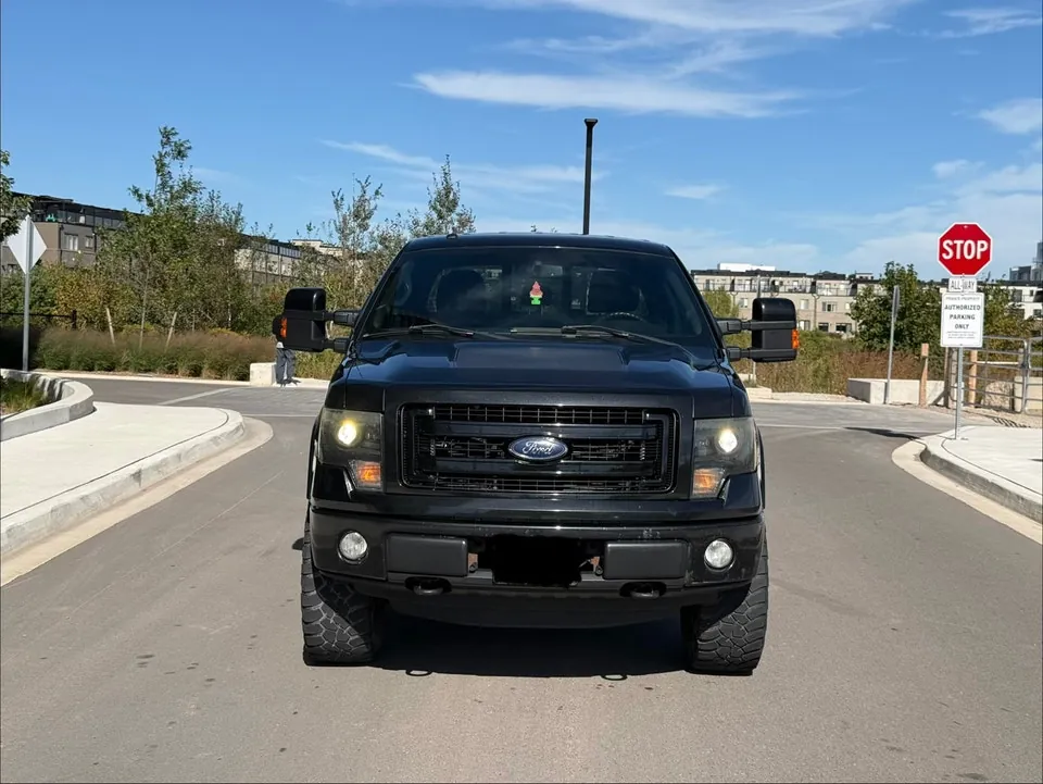 Ford F-150 2013 photo 2
