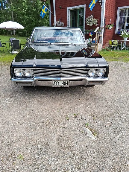 Buick Skylark 1965 photo 3