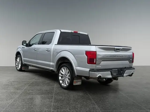 Ford F-150 2019 photo 4