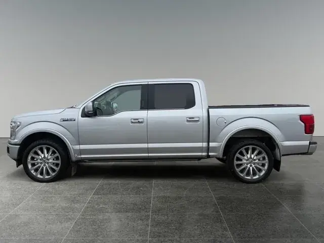 Ford F-150 2019 photo 2