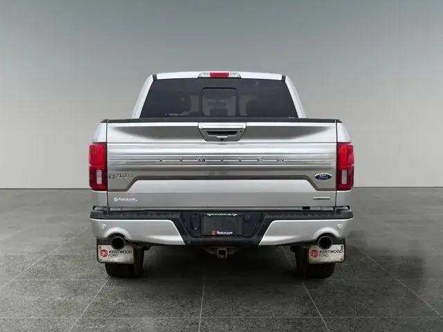 Ford F-150 2019 photo 5
