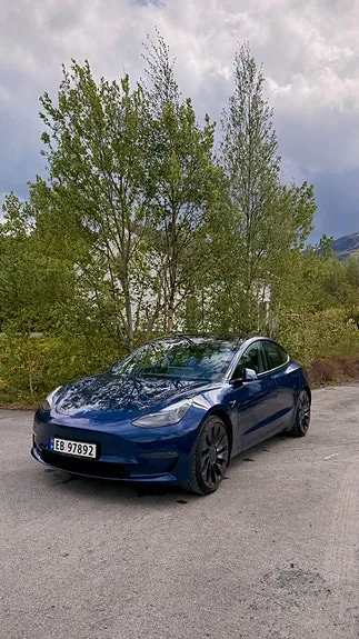 Tesla Model 3 2021 photo 4