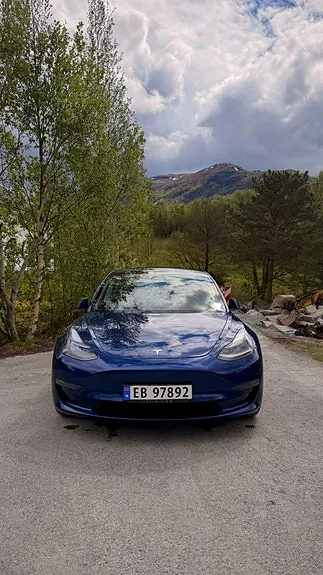 Tesla Model 3 2021 photo 3