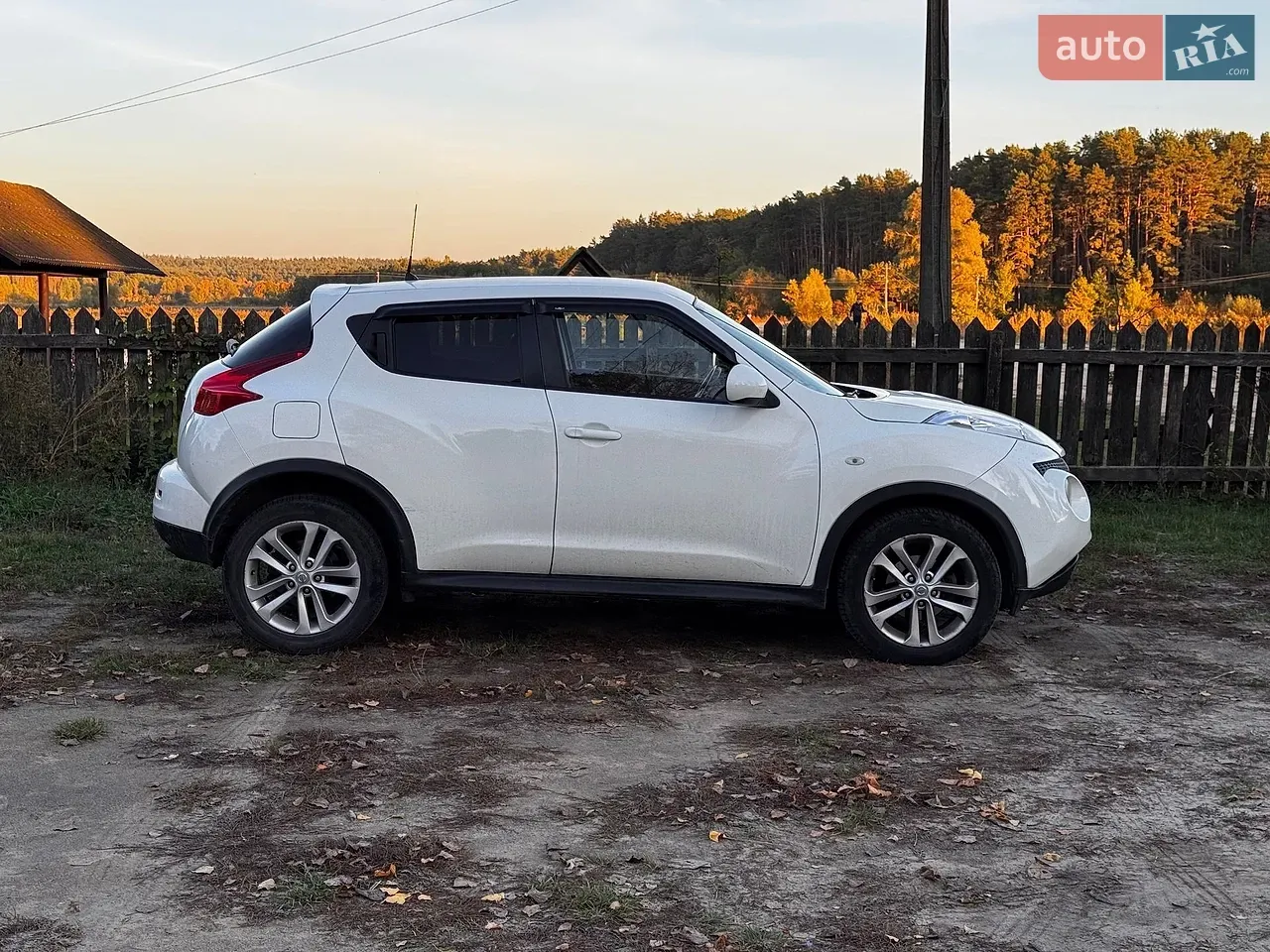 Nissan Juke 2010 photo 4
