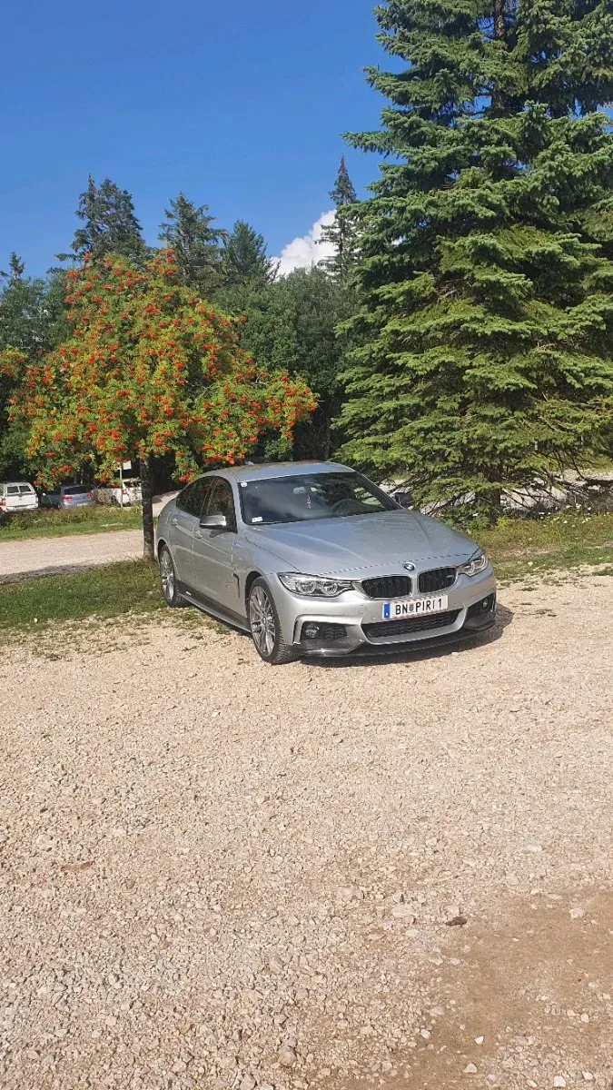 BMW 4 Series 2017 photo 3