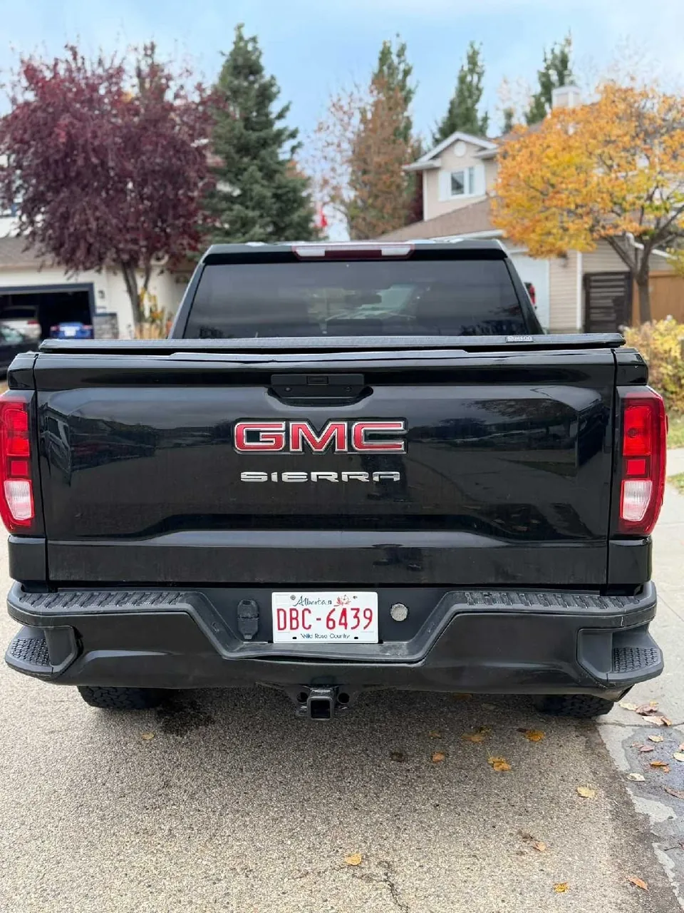 GMC Sierra 1500 2020 photo 4