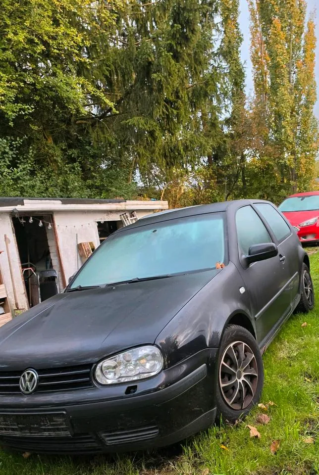 Volkswagen Golf Vi