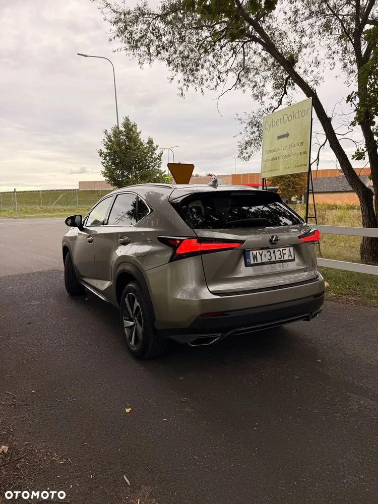 Lexus Nx 2019 photo 2