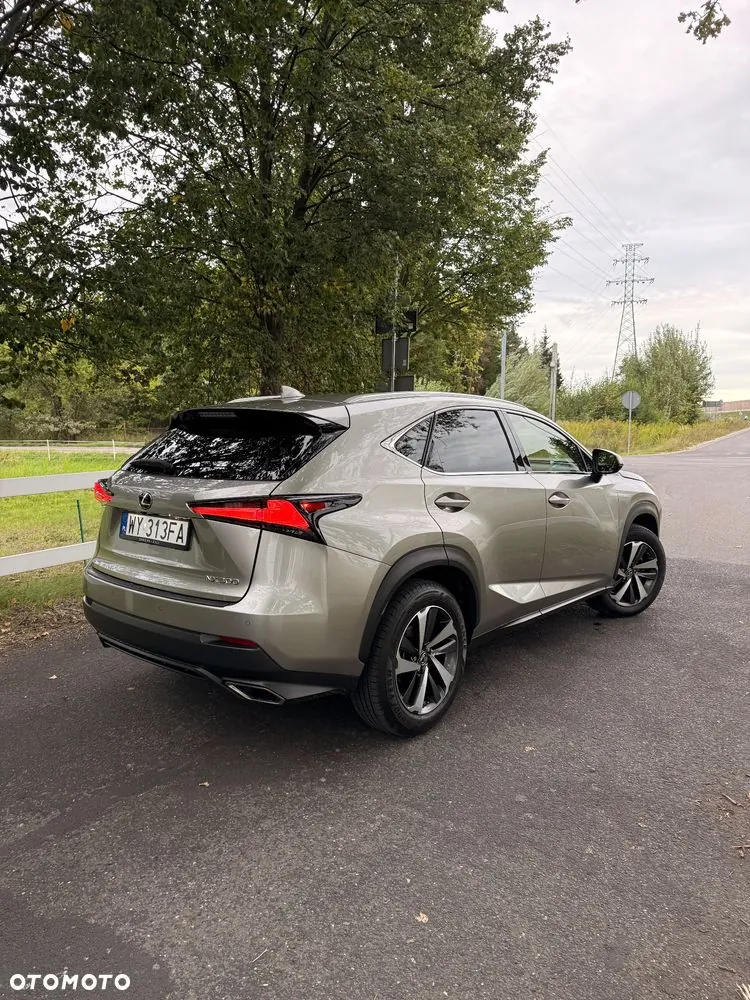 Lexus Nx 2019 photo 4