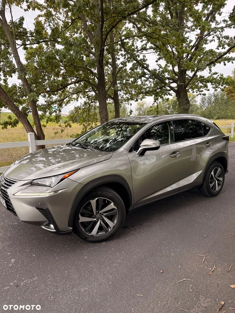 Lexus Nx 2019 photo 3