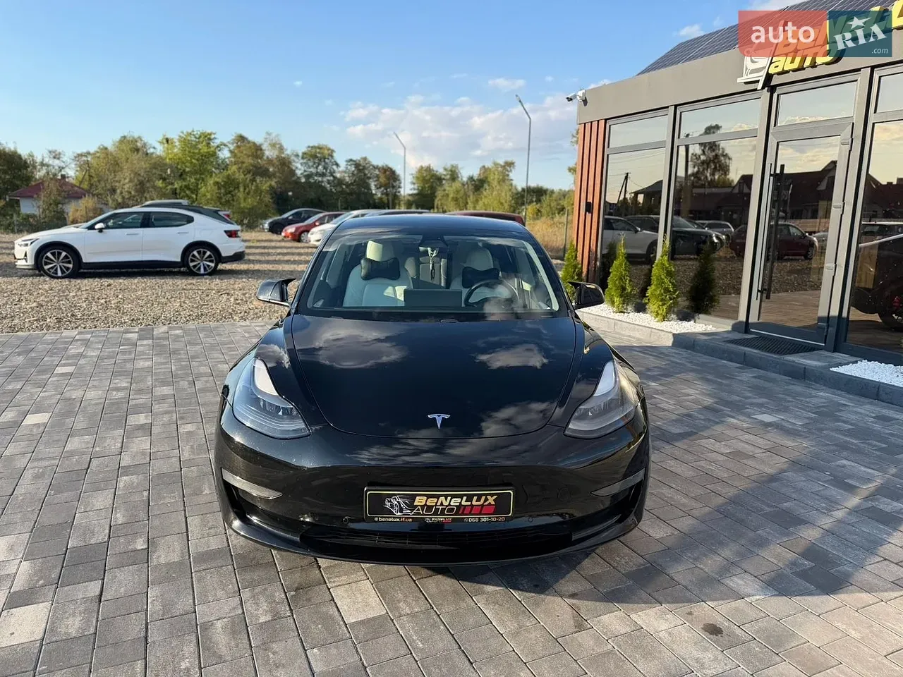Tesla Model 3 2021 photo 4