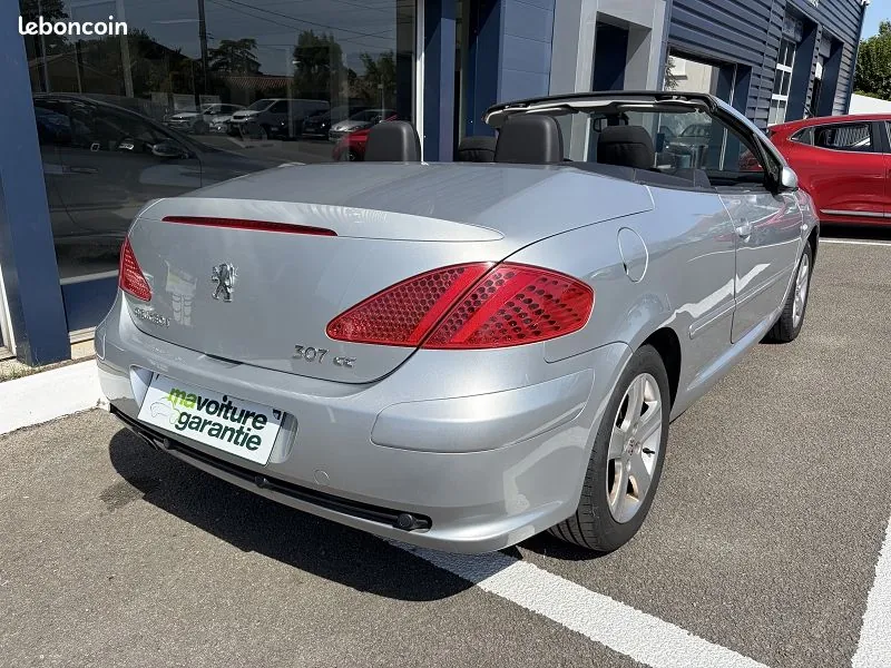 Peugeot 307 2004 photo 4