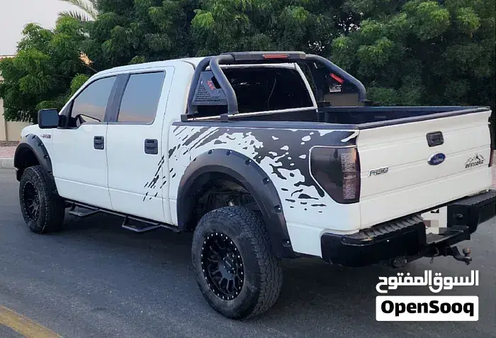 Ford F-150 2013 photo 3