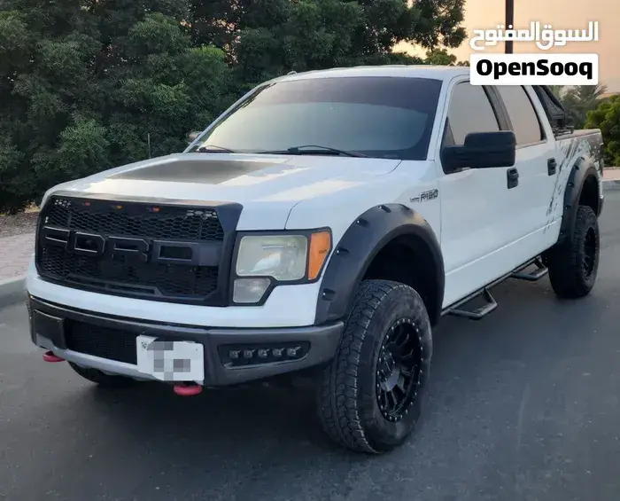 Ford F-150 2013 photo 2