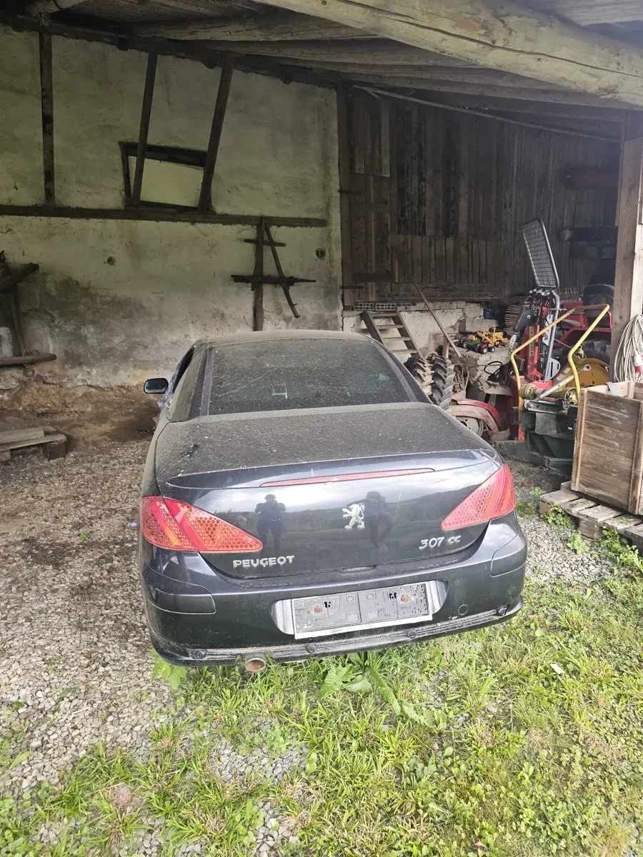 Peugeot 307