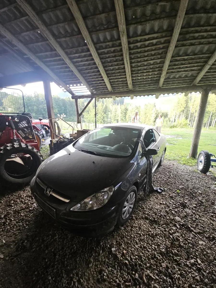 Peugeot 307 2003 photo 2