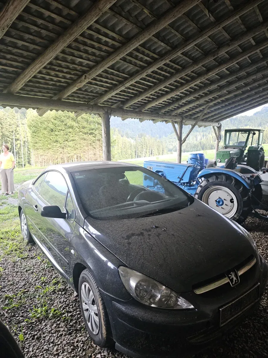 Peugeot 307 2003 photo 3
