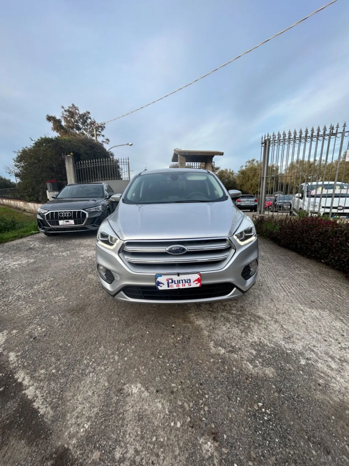 Ford Kuga 2019 photo 5