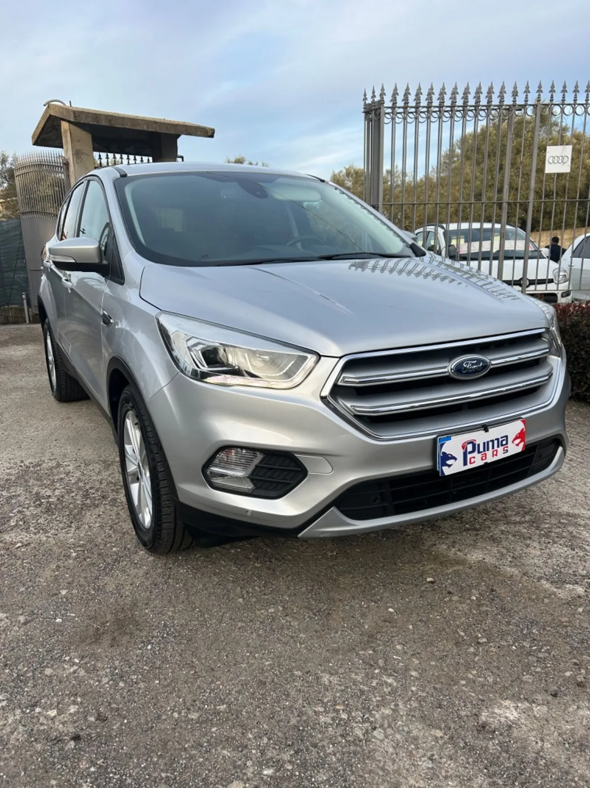Ford Kuga 2019 photo 2