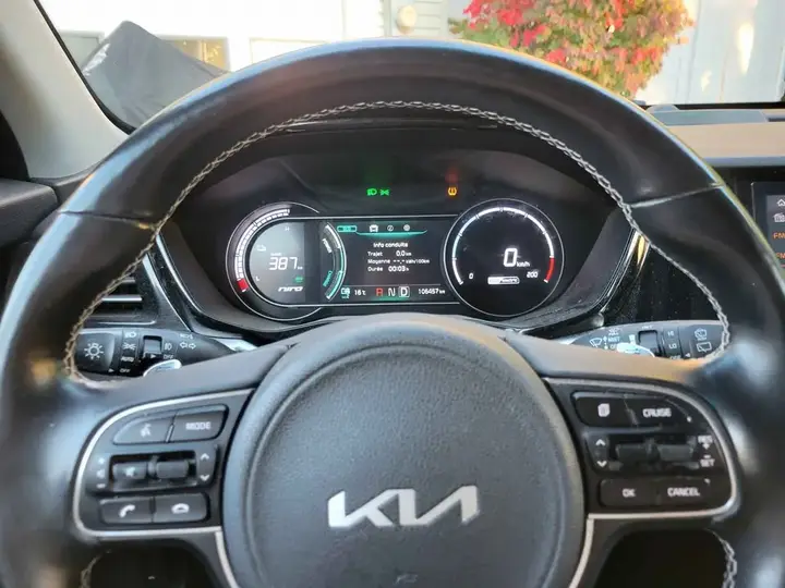 Kia Niro Ev 2022 photo 4