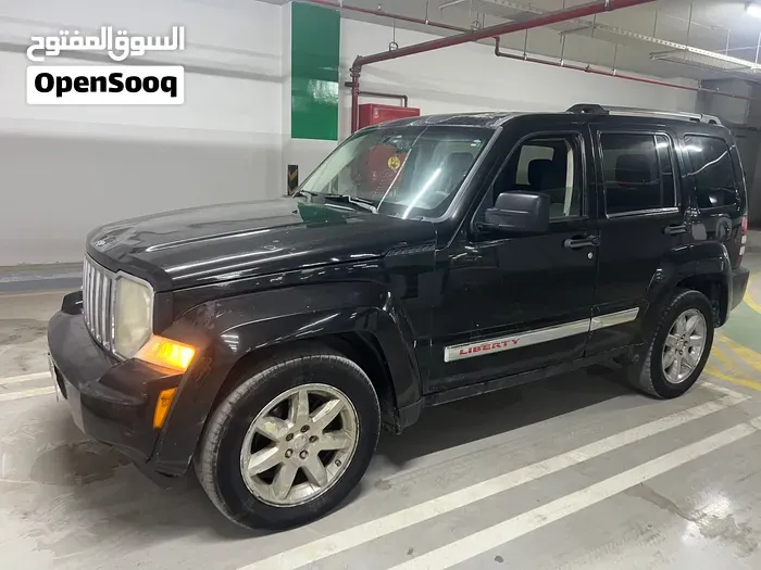 Jeep Liberty 2010 photo 3