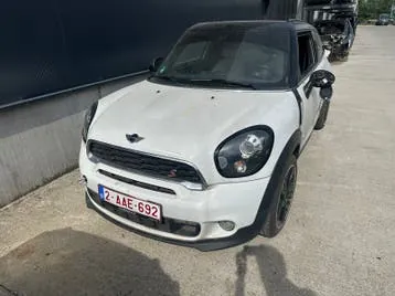 Mini Paceman