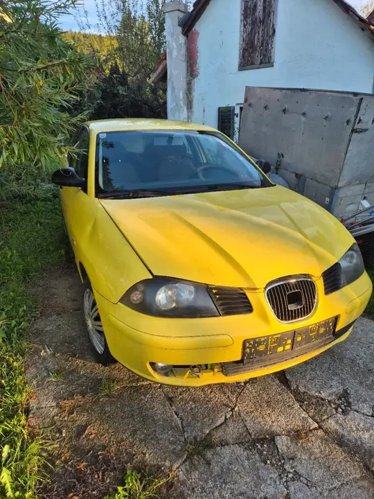 Seat Ibiza 2006 photo 2