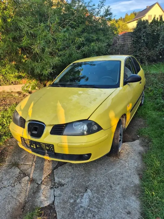 Seat Ibiza