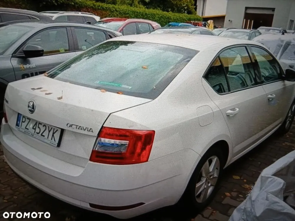 Skoda Octavia 2017 photo 5