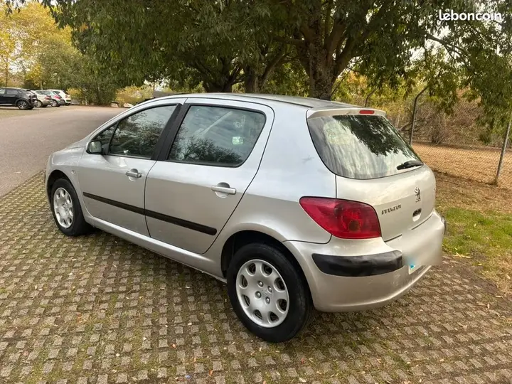 Peugeot 307 2001 photo 2