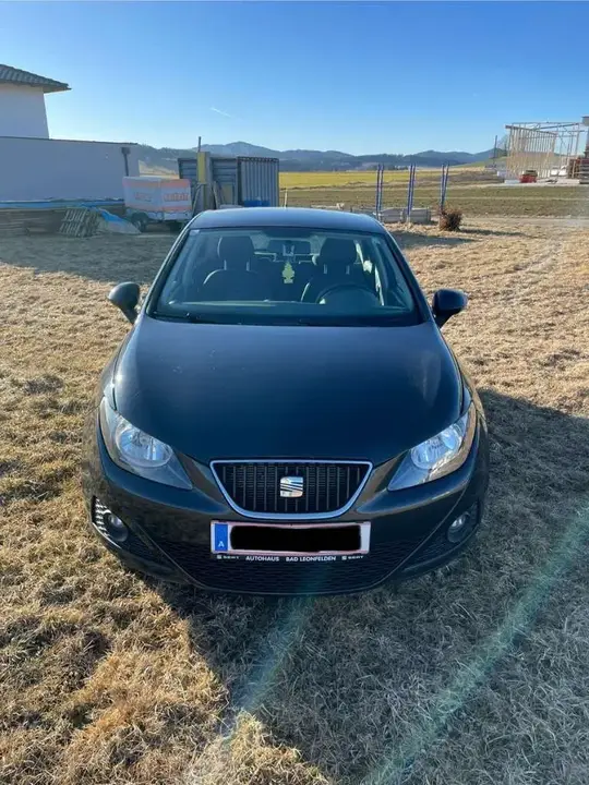 Seat Ibiza 2011 photo 2