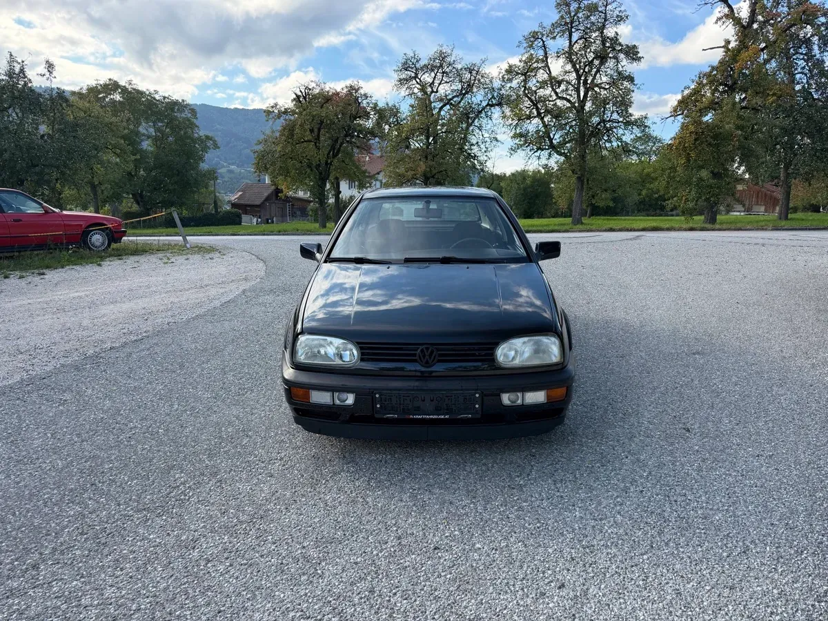 Volkswagen Golf 1994 photo 2