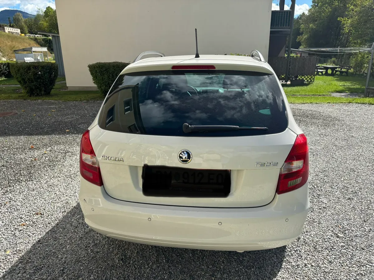 Skoda Fabia 2014 photo 2