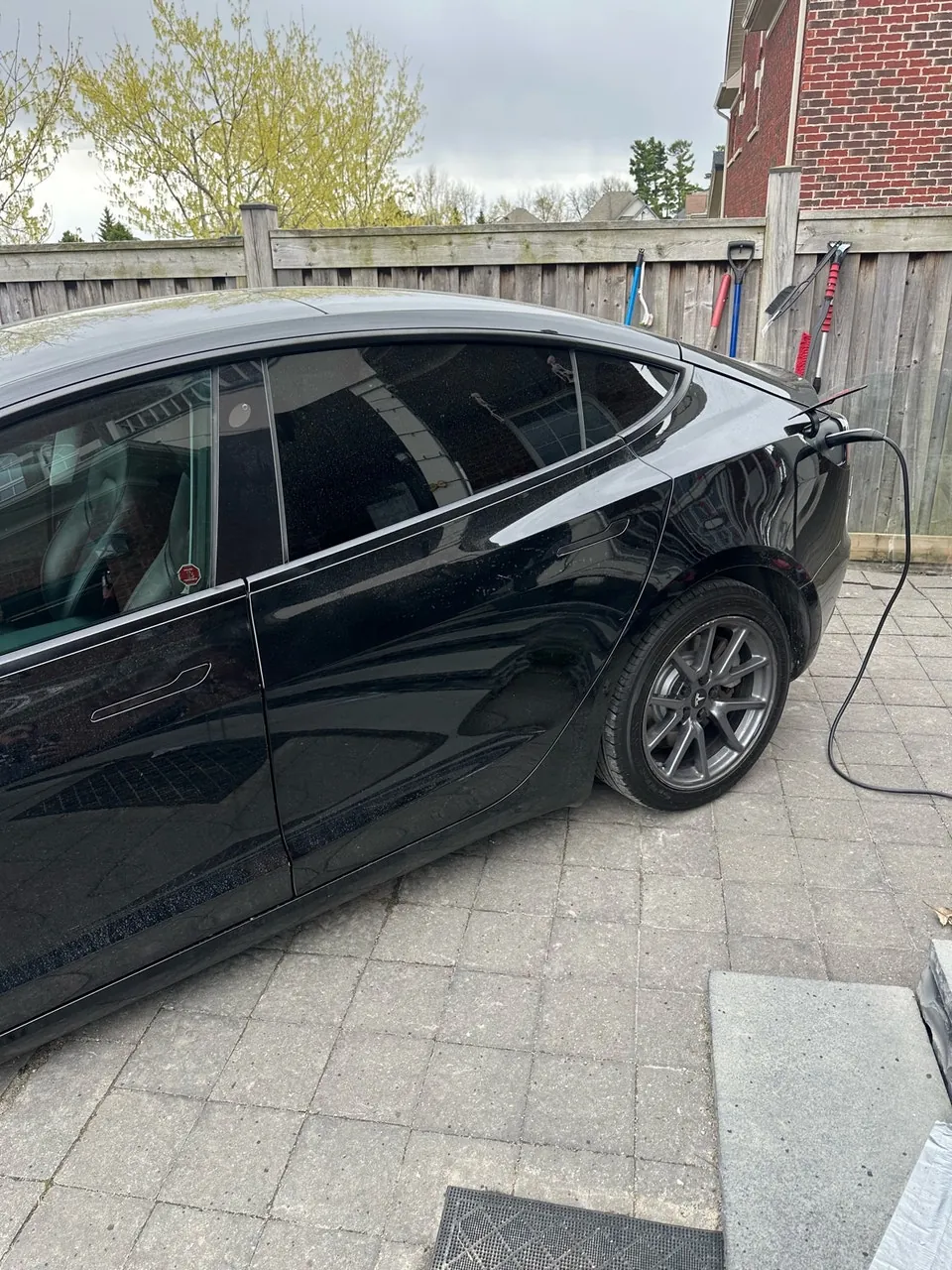 Tesla Model 3 2021 photo 4