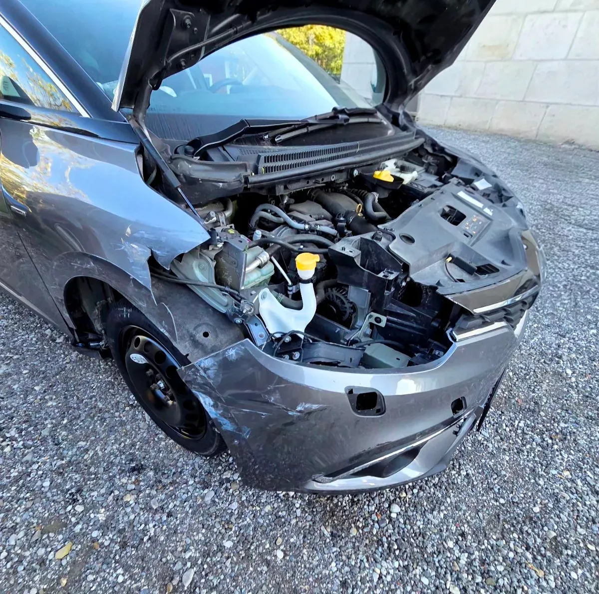 Renault Scenic 2017 photo 3