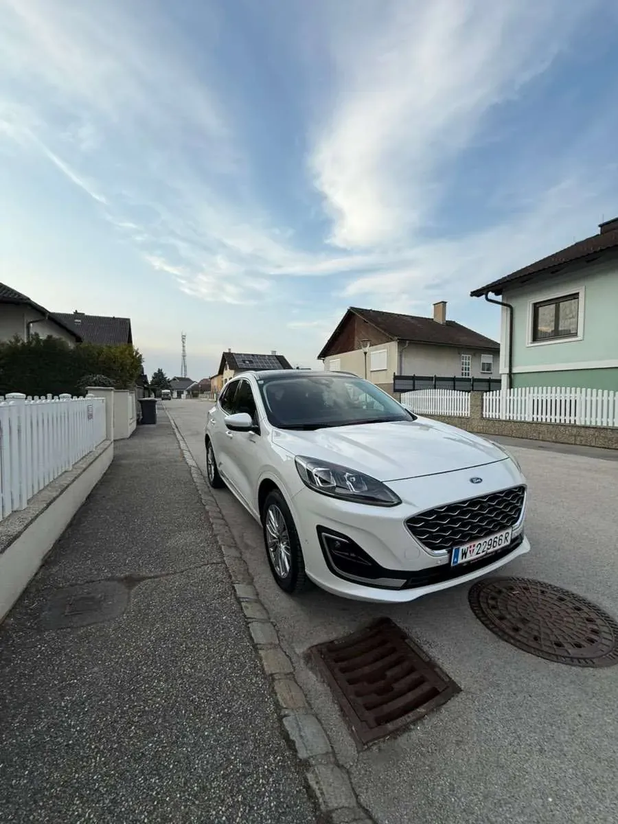 Ford Kuga 2021 photo 3