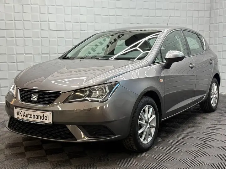 Seat Ibiza Style