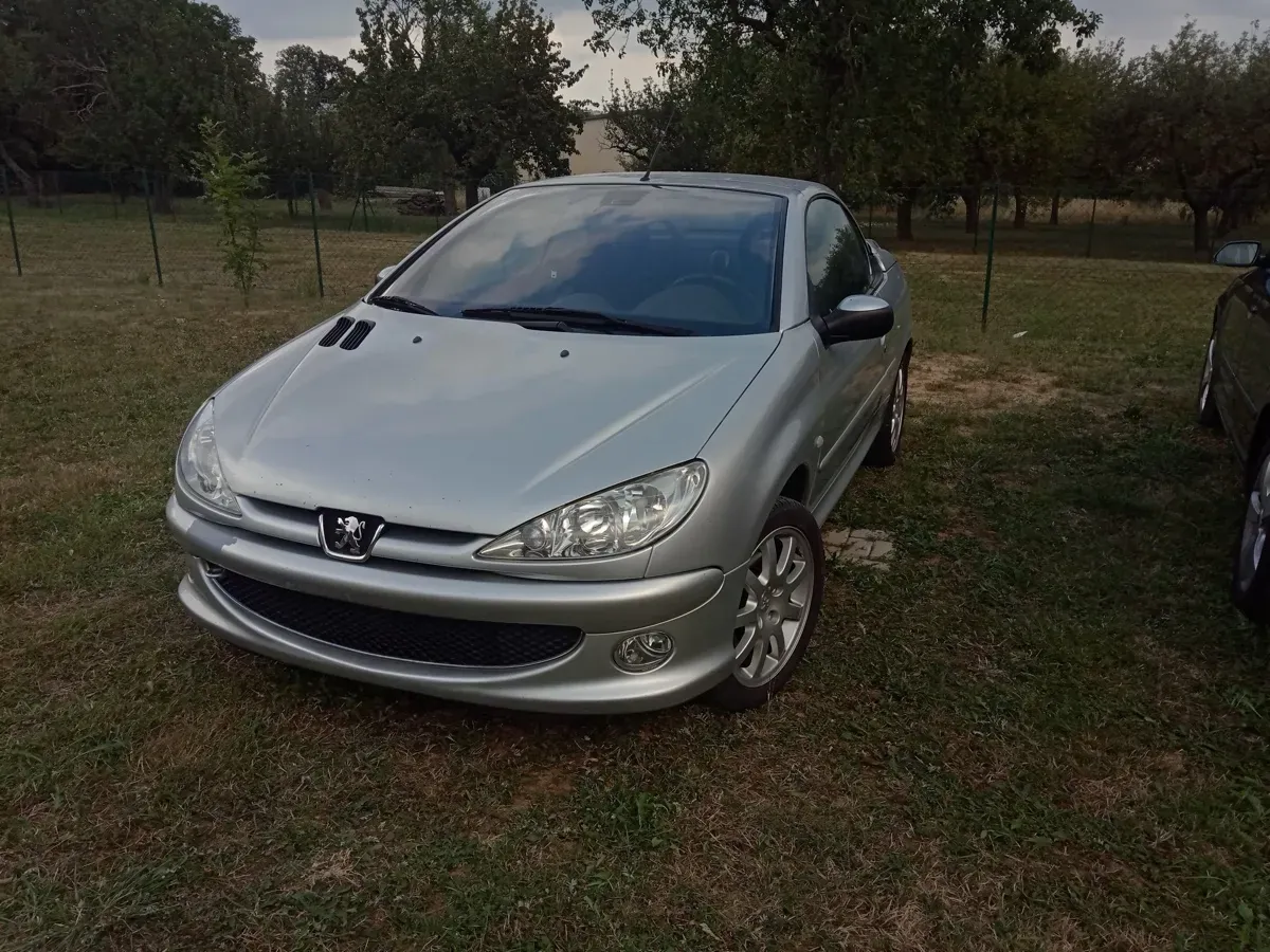 Peugeot 206 2003 photo 3