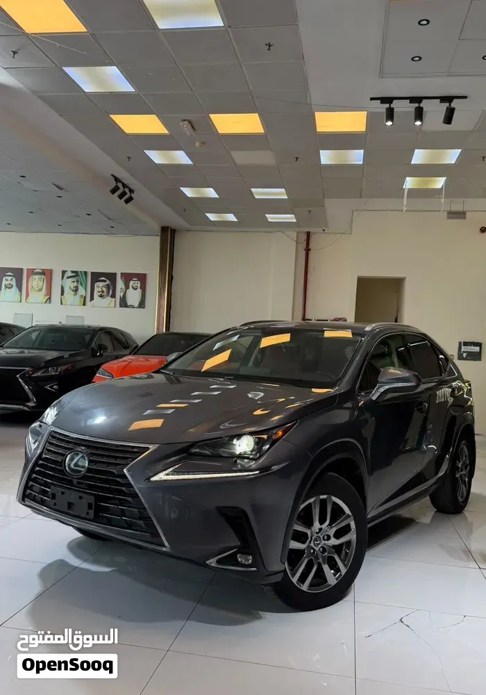 Lexus Nx 300 2021 photo 3