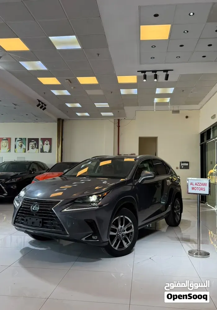 Lexus Nx 300 2021 photo 2