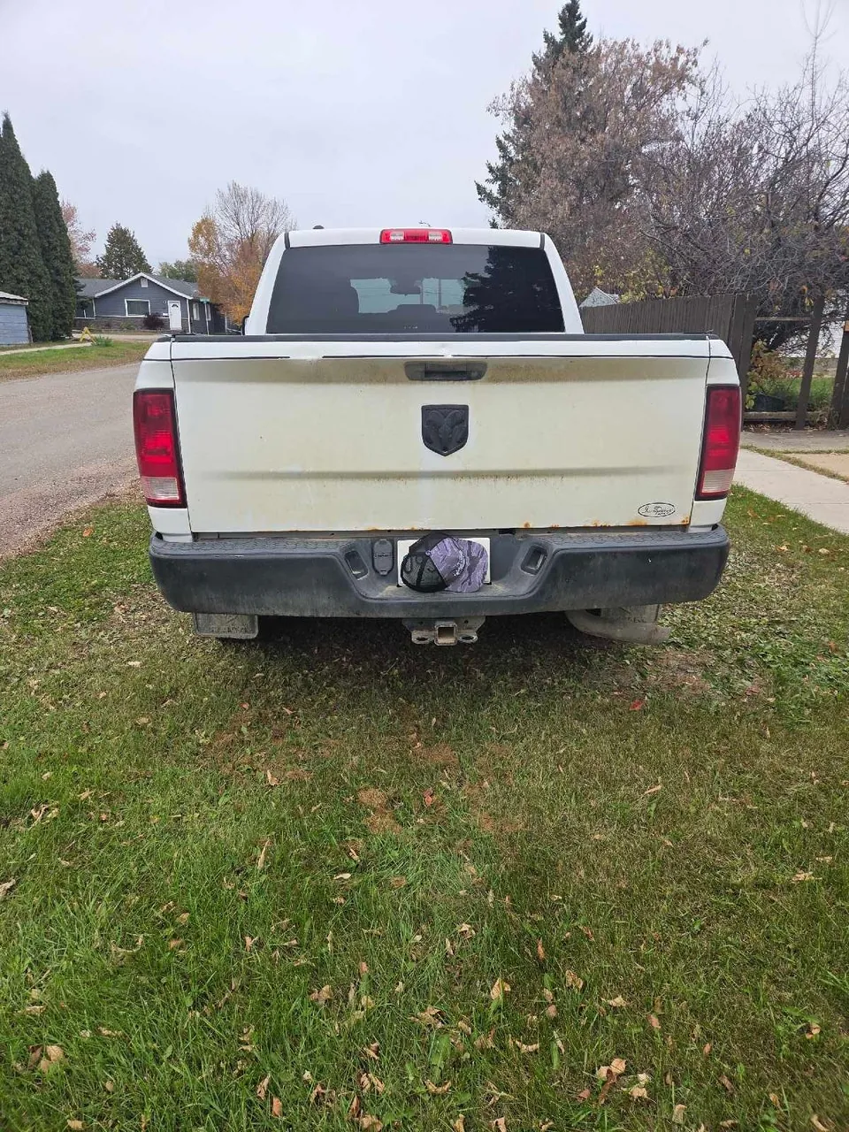 Dodge Ram 1500 2010 photo 4