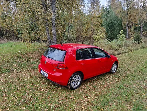Volkswagen Golf Vii 2015 photo 2