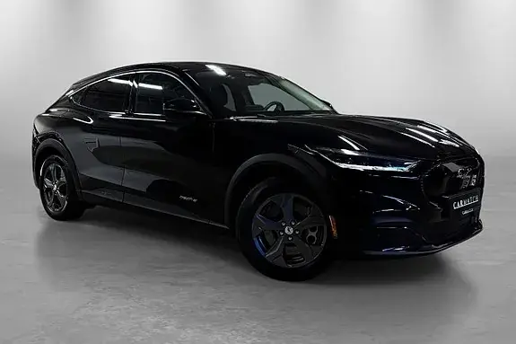 Ford Mustang Mach-E 2021 photo 5