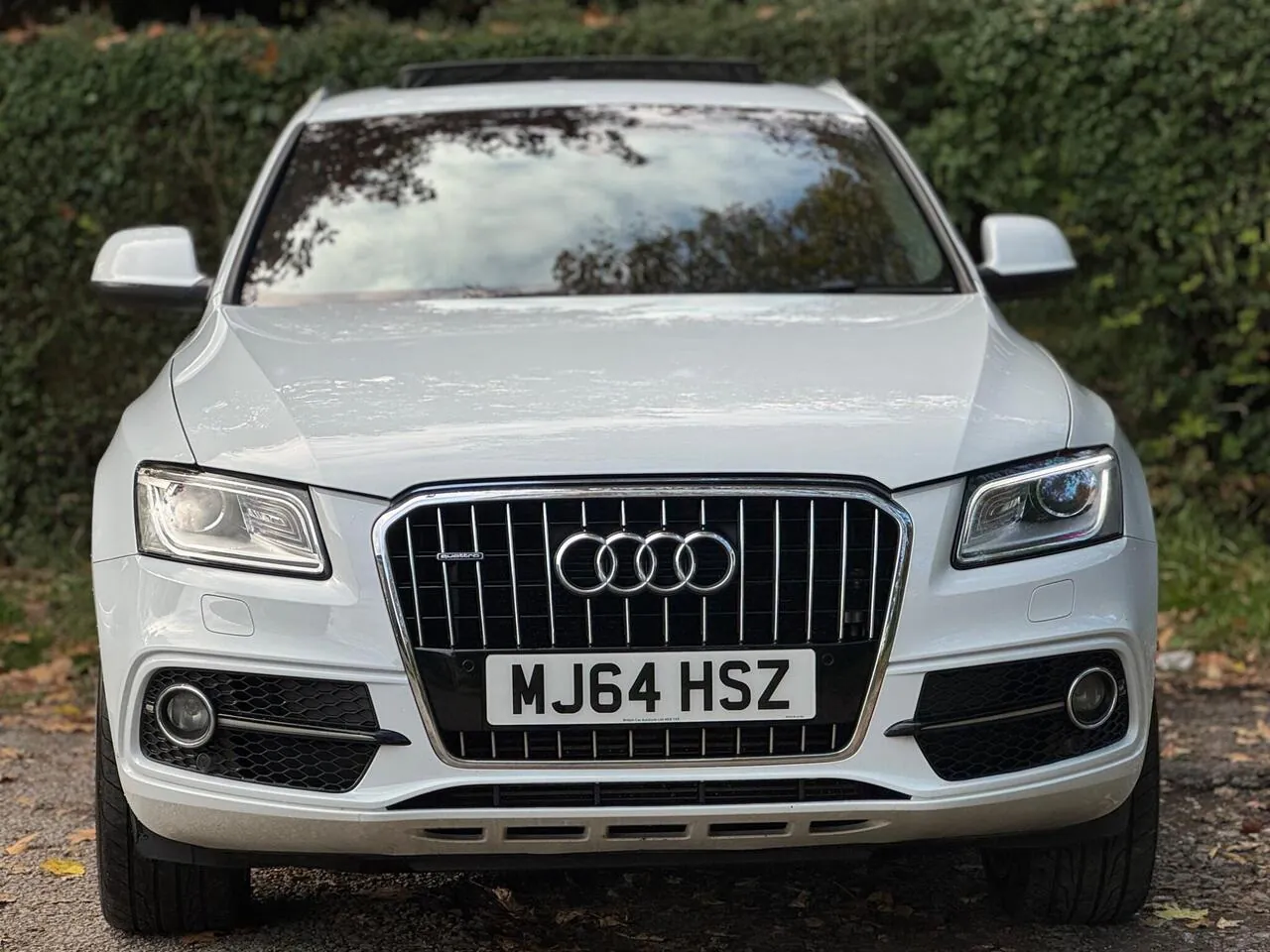Audi Q5 2014 photo 2