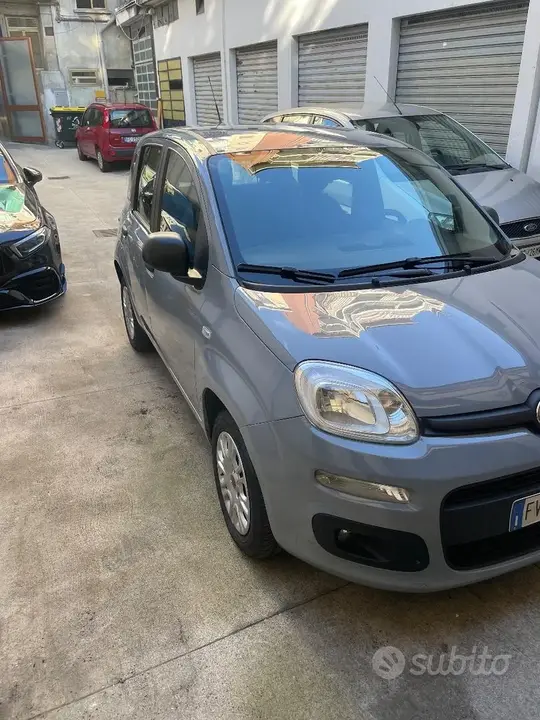 Fiat Panda 2019 photo 2